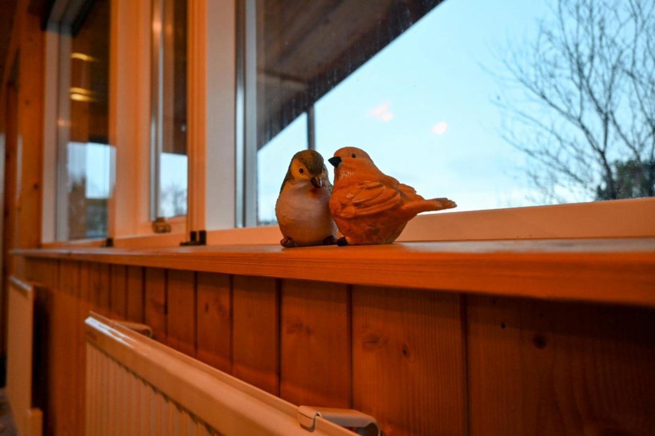 Thingvellir Cabin/Chalet Selfoss Eksteriør bilde